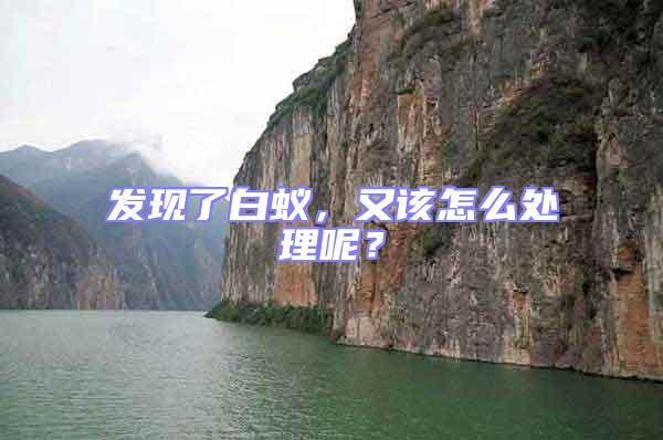 發現了白蟻，又該怎么處理呢？