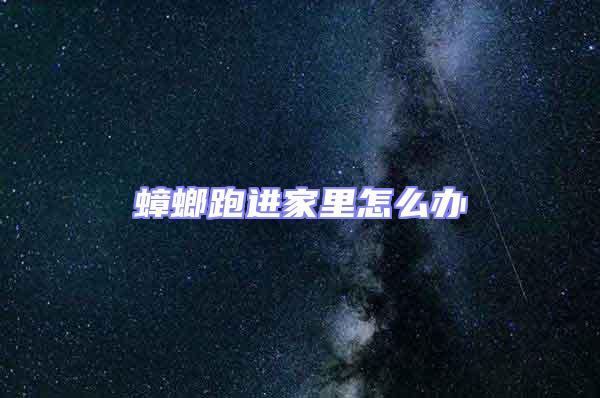 蟑螂跑進家里怎么辦