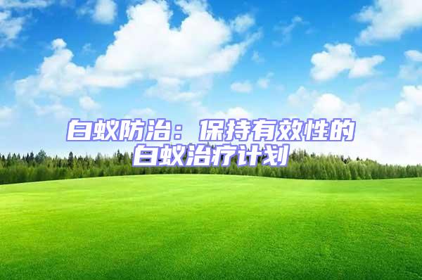 白蟻防治：保持有效性的白蟻治療計(jì)劃