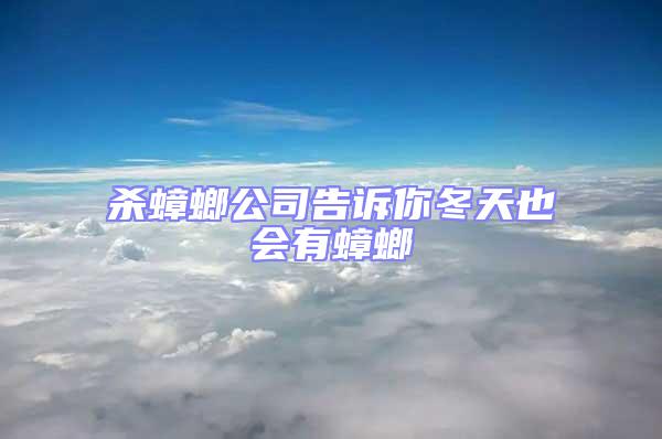殺蟑螂公司告訴你冬天也會有蟑螂