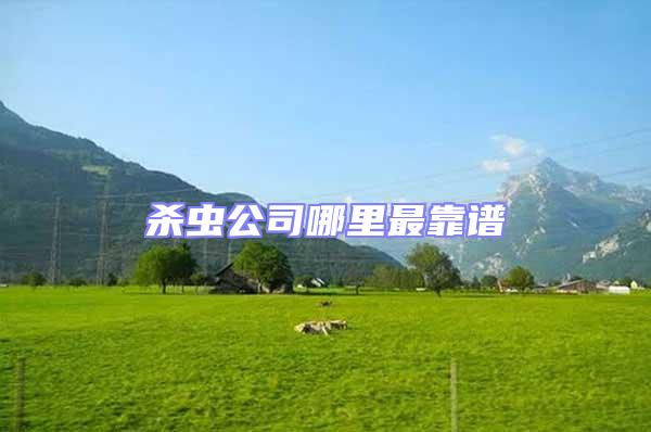 殺蟲公司哪里最靠譜