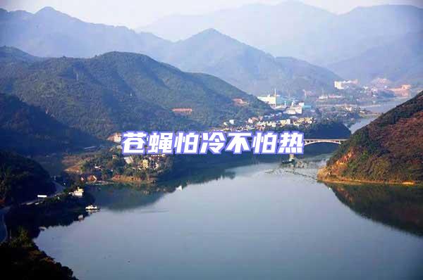 蒼蠅怕冷不怕熱