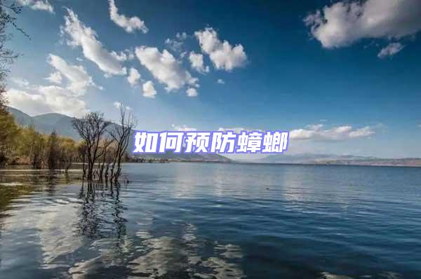 如何預(yù)防蟑螂