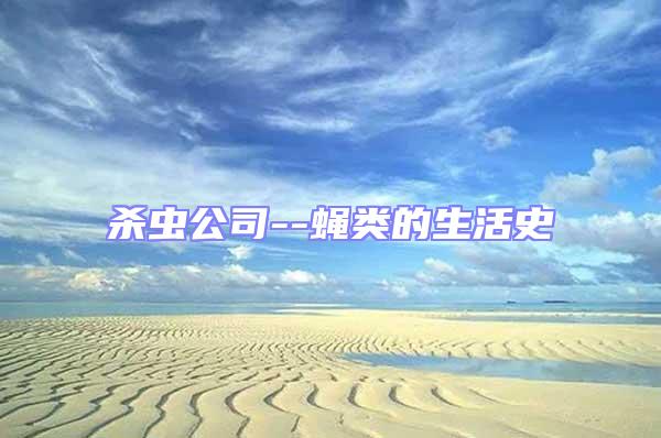 殺蟲公司--蠅類的生活史