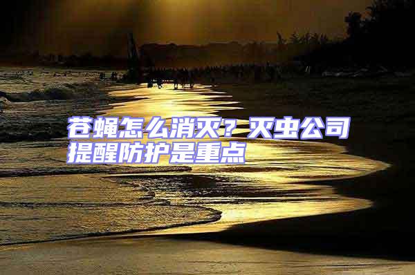 蒼蠅怎么消滅？滅蟲公司提醒防護是重點