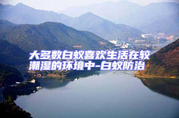 大多數白蟻喜歡生活在較潮濕的環境中-白蟻防治