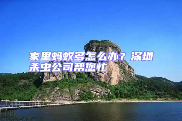 家里螞蟻多怎么辦？深圳殺蟲公司幫您忙
