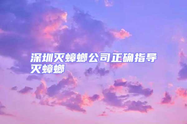 深圳滅蟑螂公司正確指導(dǎo)滅蟑螂