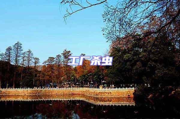 工廠殺蟲