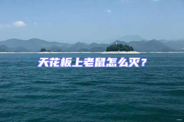天花板上老鼠怎么滅？