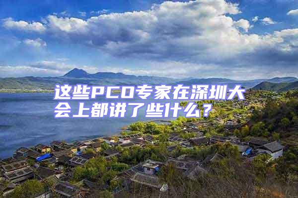 這些PCO專家在深圳大會上都講了些什么？