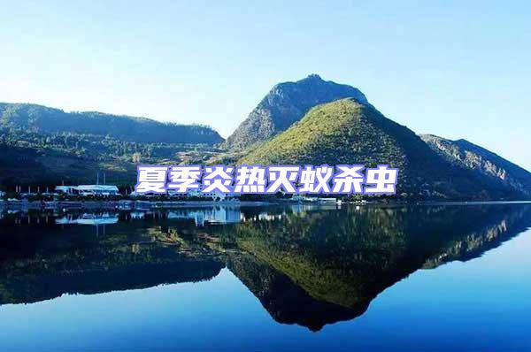 夏季炎熱滅蟻殺蟲
