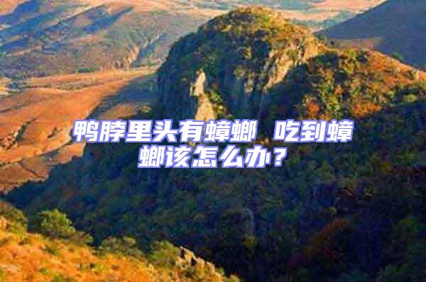 鴨脖里頭有蟑螂 吃到蟑螂該怎么辦？