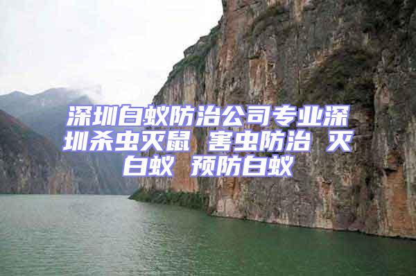 深圳白蟻防治公司專業(yè)深圳殺蟲滅鼠 害蟲防治 滅白蟻 預(yù)防白蟻