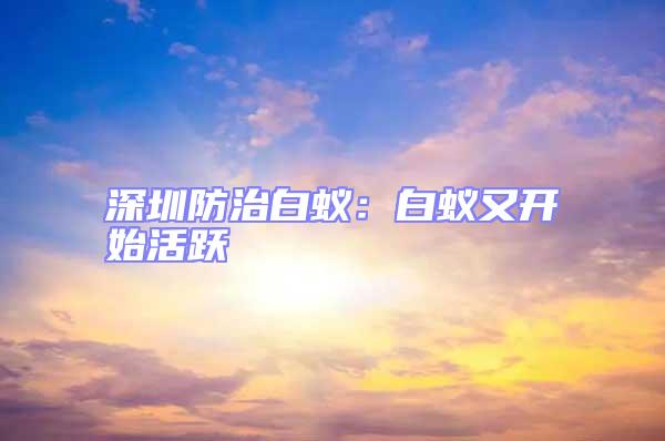 深圳防治白蟻：白蟻又開始活躍