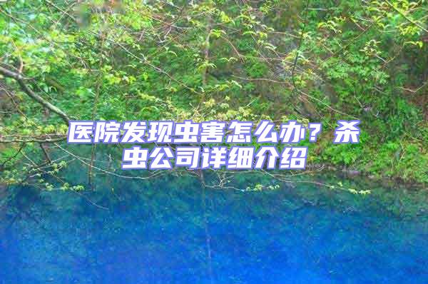 醫(yī)院發(fā)現(xiàn)蟲害怎么辦？殺蟲公司詳細介紹