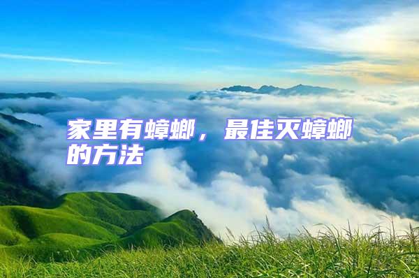 家里有蟑螂，最佳滅蟑螂的方法