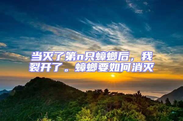 當(dāng)滅了第n只蟑螂后，我裂開了。蟑螂要如何消滅