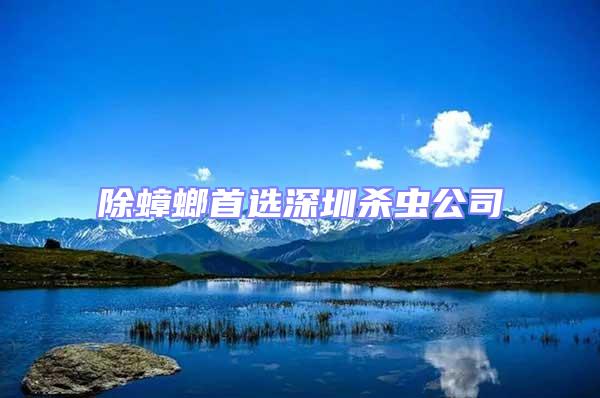 除蟑螂首選深圳殺蟲公司