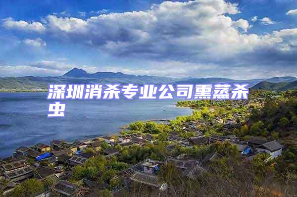 深圳消殺專業(yè)公司熏蒸殺蟲
