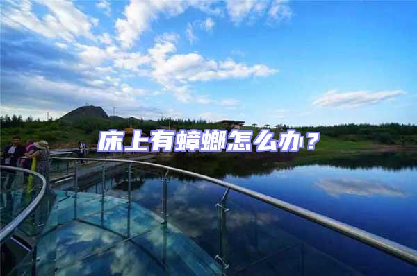 床上有蟑螂怎么辦？