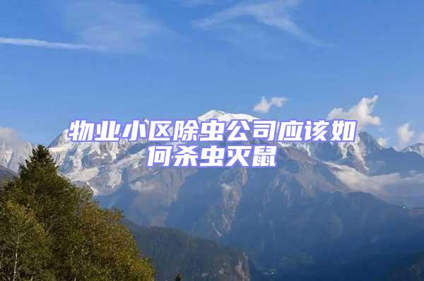 物業小區除蟲公司應該如何殺蟲滅鼠
