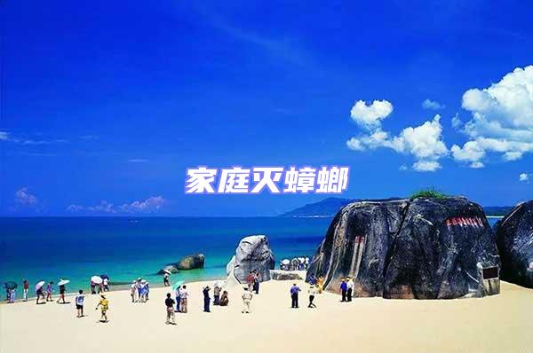 家庭滅蟑螂