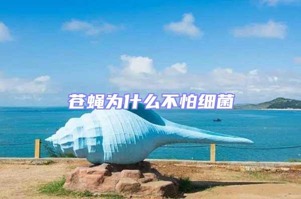 蒼蠅為什么不怕細(xì)菌