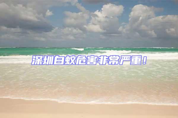 深圳白蟻危害非常嚴重！