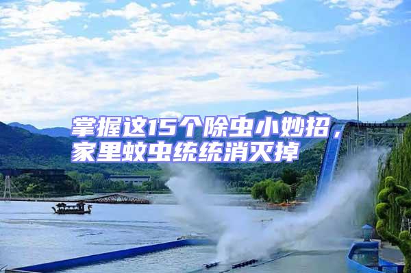 掌握這15個除蟲小妙招，家里蚊蟲統統消滅掉
