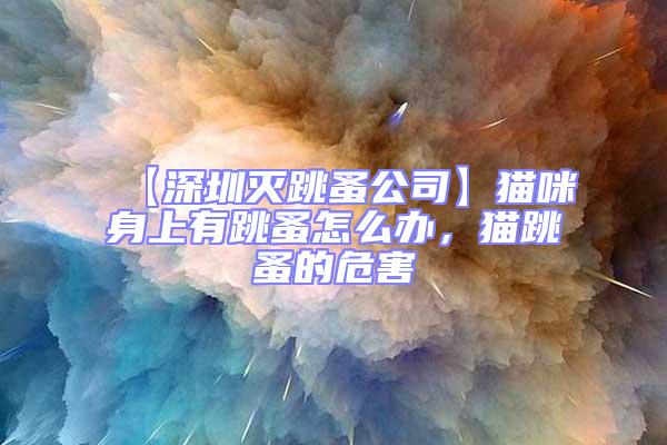 【深圳滅跳蚤公司】貓咪身上有跳蚤怎么辦，貓跳蚤的危害