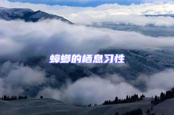 蟑螂的棲息習(xí)性