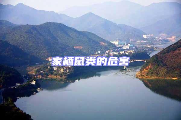 家棲鼠類的危害