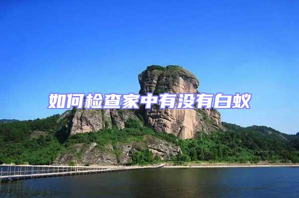 如何檢查家中有沒有白蟻