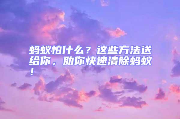 螞蟻怕什么？這些方法送給你，助你快速清除螞蟻！
