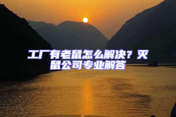 工廠有老鼠怎么解決？滅鼠公司專業(yè)解答