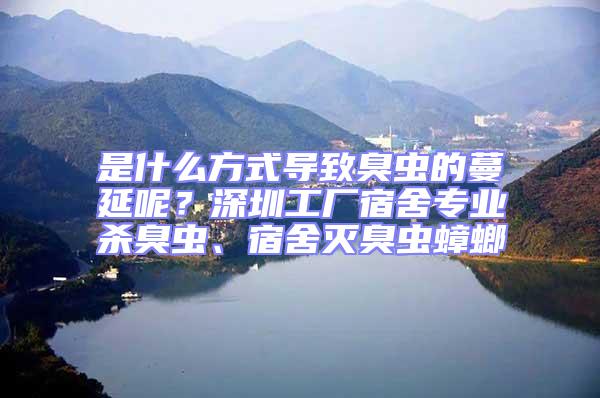 是什么方式導(dǎo)致臭蟲的蔓延呢？深圳工廠宿舍專業(yè)殺臭蟲、宿舍滅臭蟲蟑螂