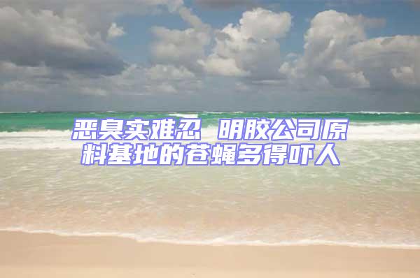 惡臭實難忍 明膠公司原料基地的蒼蠅多得嚇人