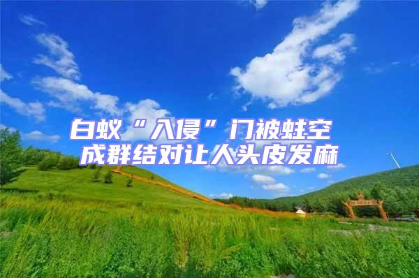 白蟻“入侵”門被蛀空 成群結對讓人頭皮發麻