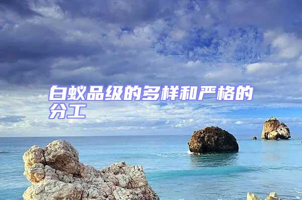 白蟻品級的多樣和嚴格的分工