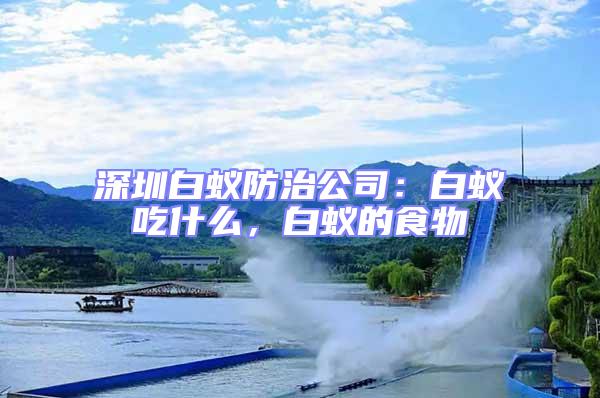 深圳白蟻防治公司：白蟻吃什么，白蟻的食物