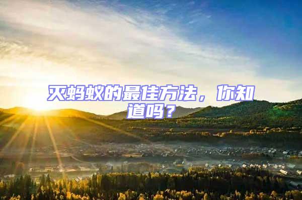 滅螞蟻的最佳方法，你知道嗎？