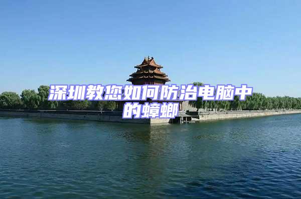 深圳教您如何防治電腦中的蟑螂