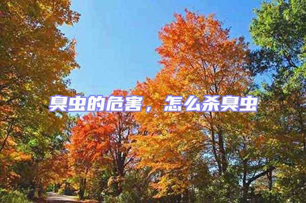 臭蟲的危害，怎么殺臭蟲