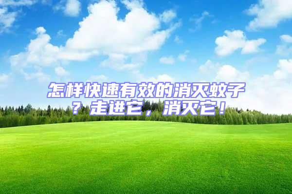 怎樣快速有效的消滅蚊子？走進它，消滅它！