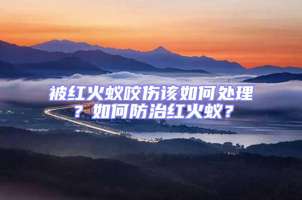 被紅火蟻咬傷該如何處理？如何防治紅火蟻？