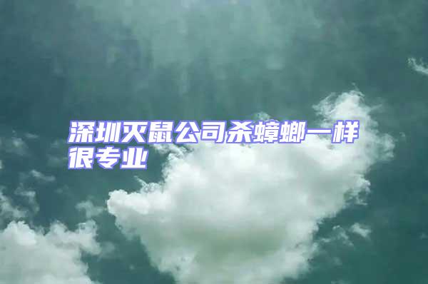 深圳滅鼠公司殺蟑螂一樣很專業(yè)