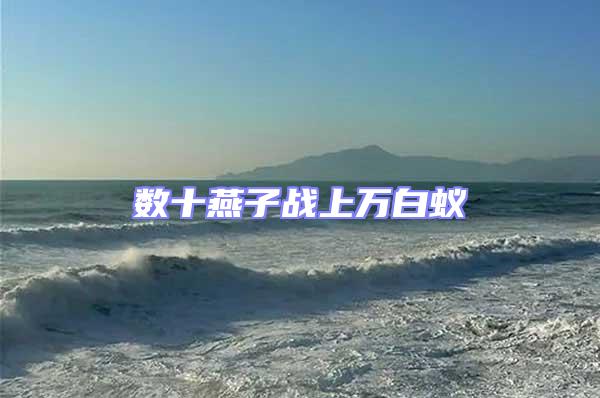 數(shù)十燕子戰(zhàn)上萬(wàn)白蟻