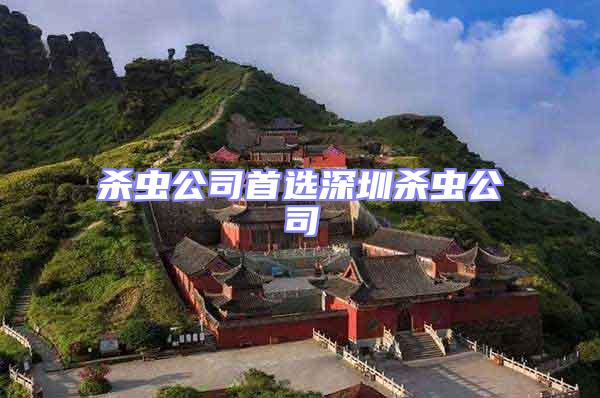 殺蟲公司首選深圳殺蟲公司