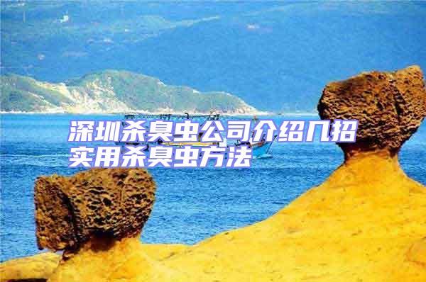 深圳殺臭蟲公司介紹幾招實用殺臭蟲方法